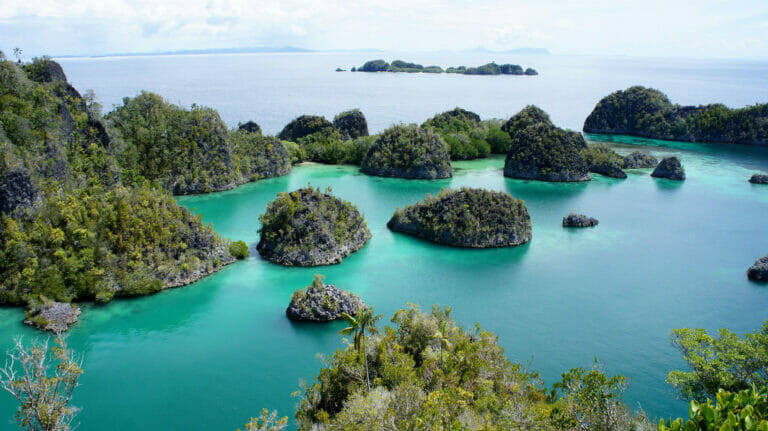3 Hal Yang Bisa Dilakukan Saat Berlibur Ke Raja Ampat