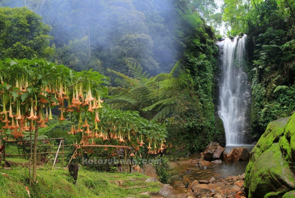 Curug Sadim Kotasubang.com 