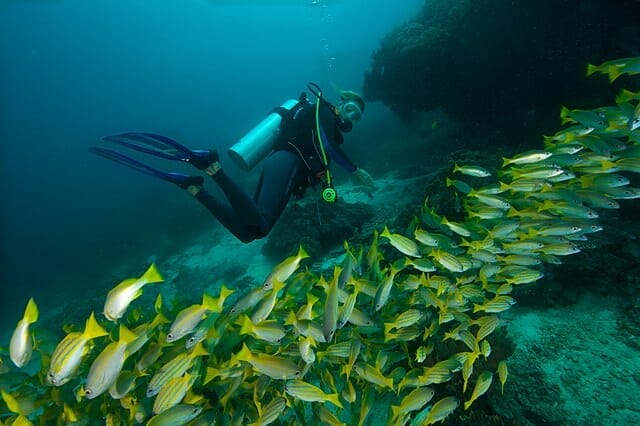 Artikel 1 Snorkeling