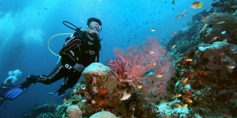 Panduan Berwisata Ke Raja Ampat