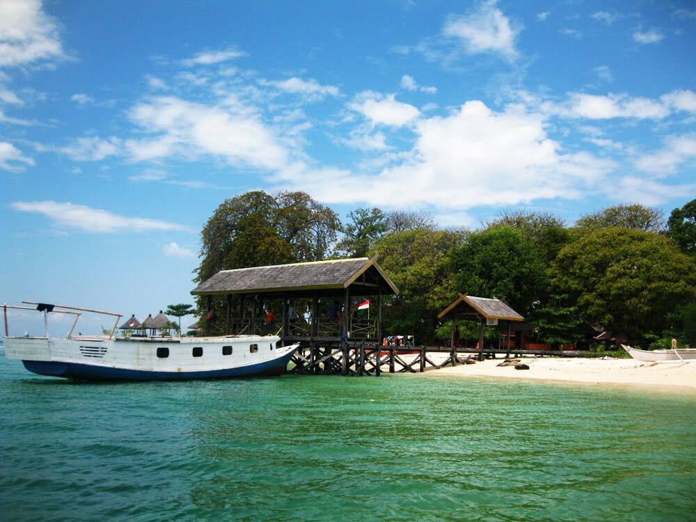 Aneka Biota Laut Di Pulau Samalona