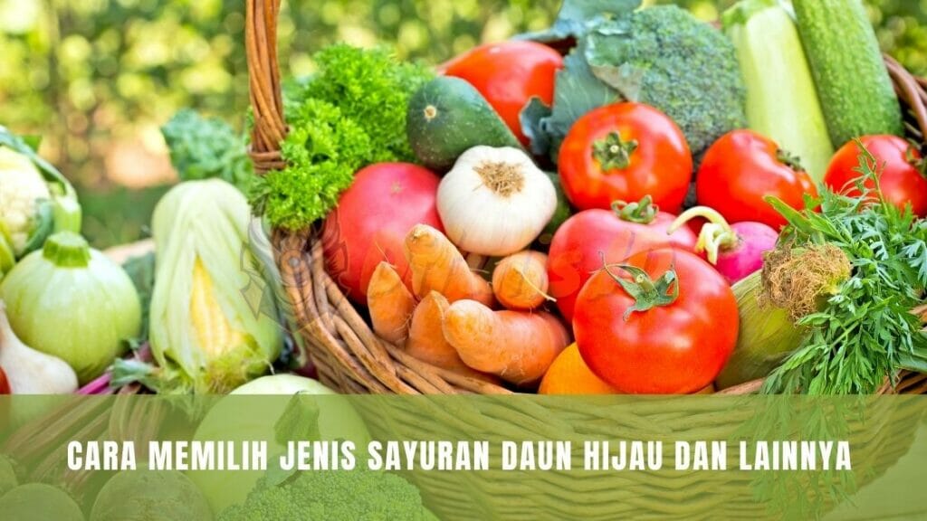 cara memilih jenis sayuran daun hijau dan lainnya