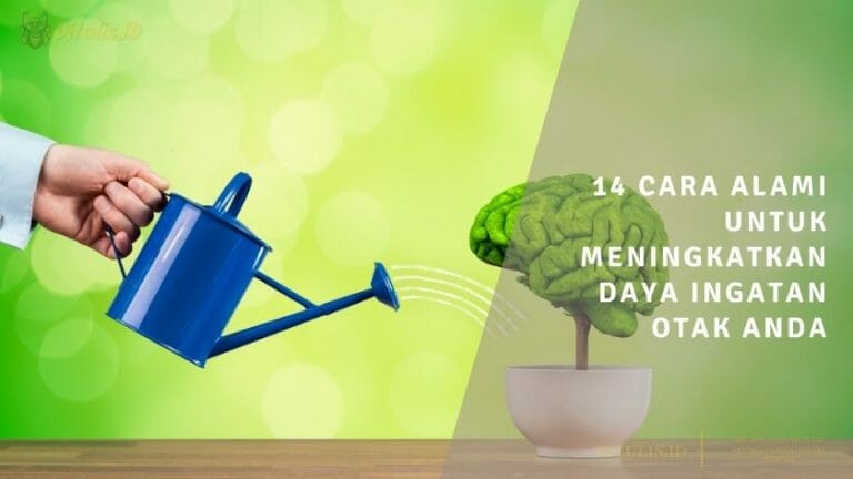 14 cara alami untuk meningkatkan daya ingatan otak anda