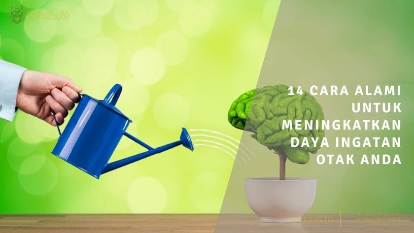 14 cara alami untuk meningkatkan daya ingatan otak anda