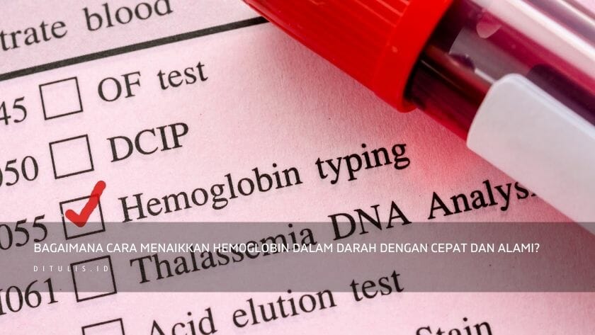 bagaimana cara menaikkan hemoglobin dalam darah dengan cepat dan alami