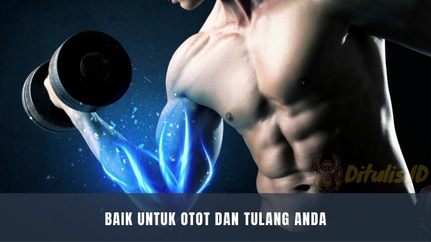 baik untuk otot dan tulang anda