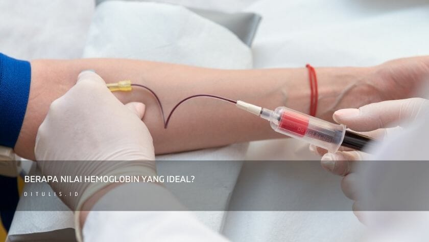 berapa nilai hemoglobin yang ideal