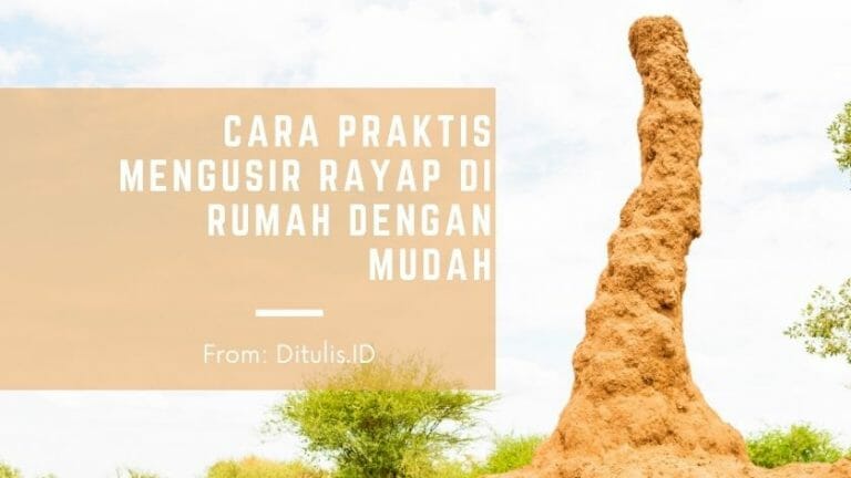 cara praktis mengusir rayap di rumah dengan mudah
