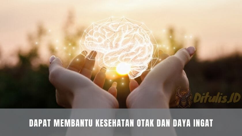 dapat membantu kesehatan otak dan daya ingat