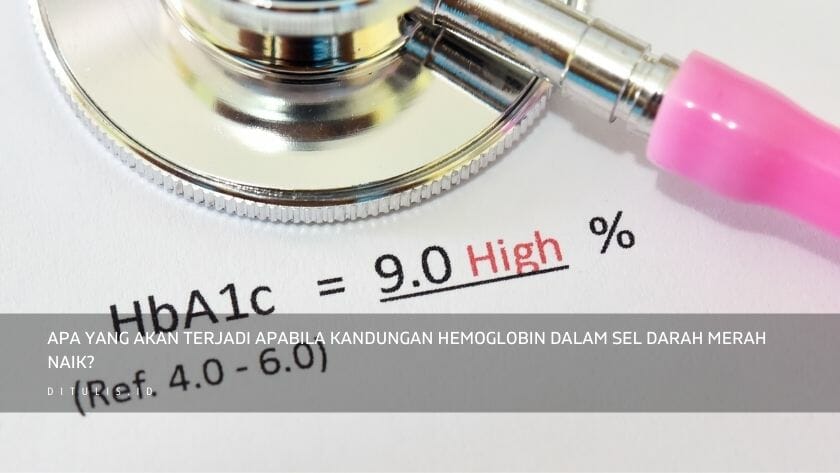 apa yang akan terjadi apabila kandungan hemoglobin dalam sel darah merah naik
