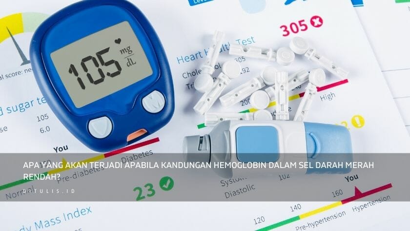 apa yang akan terjadi apabila kandungan hemoglobin dalam sel darah merah rendah