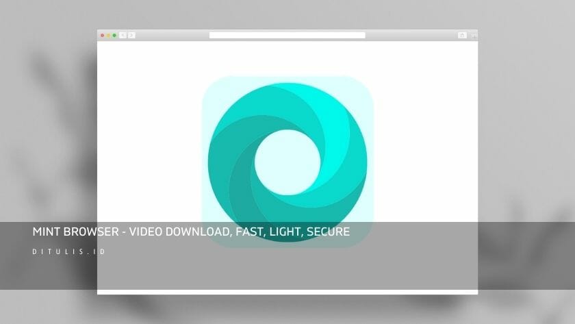 mint browser video download fast light secure