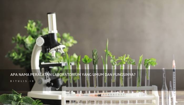 apa nama peralatan laboratorium yang umum dan fungsinya
