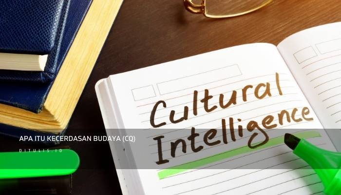 apa itu kecerdasan budaya cq