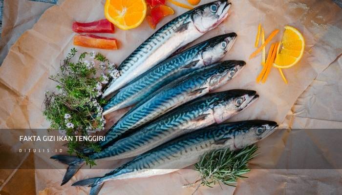 fakta gizi ikan tenggiri
