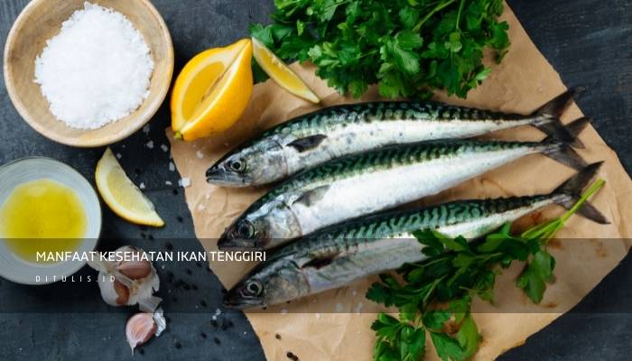 manfaat kesehatan ikan tenggiri