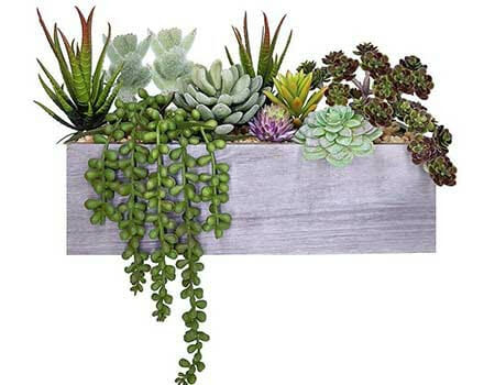 tanaman succulent sintetis imitasi