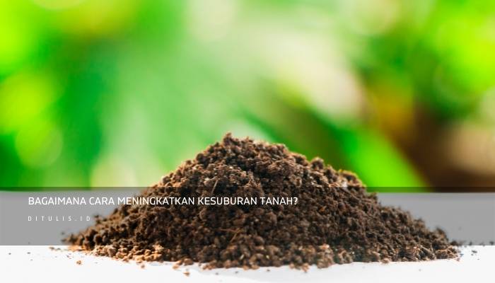 Cara Meningkatkan Kesuburan Tanah