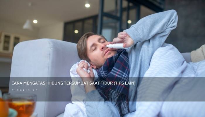 Cara Mengatasi Hidung Tersumbat Saat Tidur (Tips Lain)