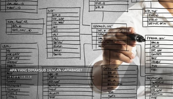 Apa Yang Dimaksud Dengan Object Oriented Database?