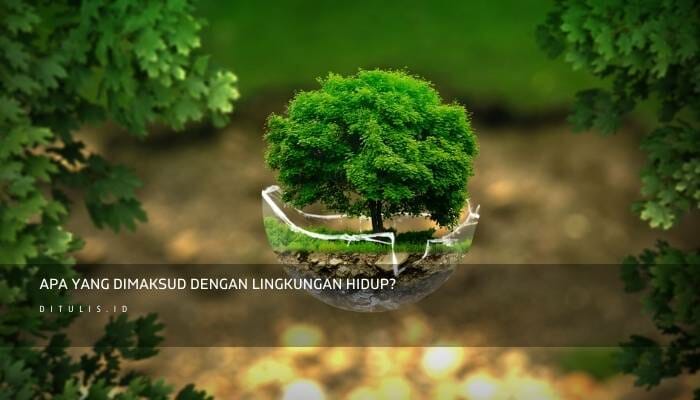 Apa Yang Dimaksud Dengan Lingkungan hidup