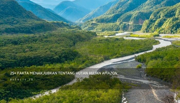 25+ Fakta Menakjubkan Tentang Hutan Hujan Amazon