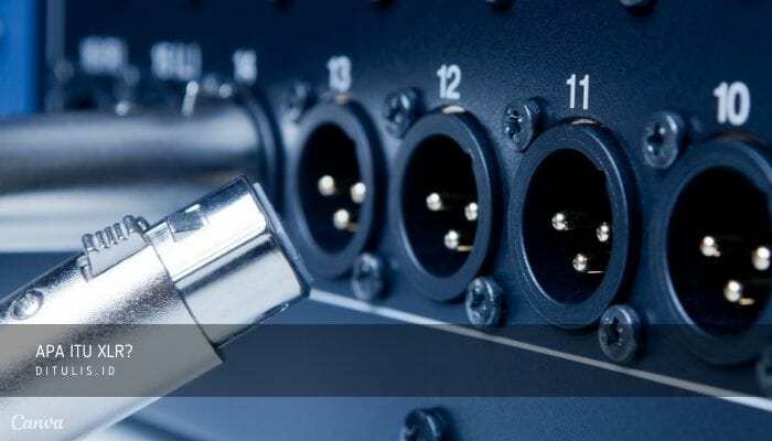 apa itu xlr