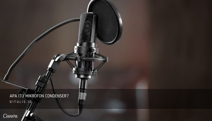 apa itu mikrofon condenser
