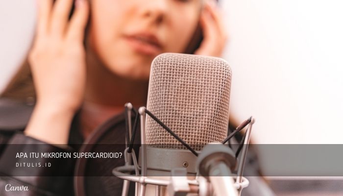 apa itu mikrofon supercardioid